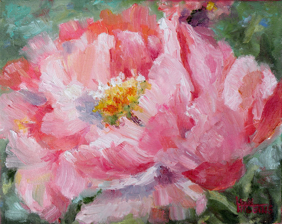 Corals and Florals