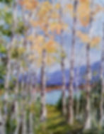 Upper Velmas Lake Tahoe
