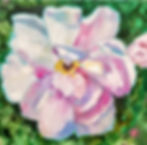 Tea Rose