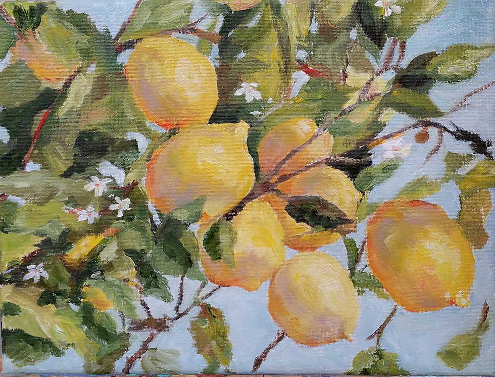 Lemons in the Wind