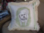 Pillow of Zoe