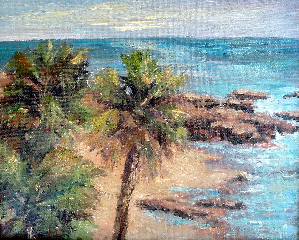 Palm Trees over the Cove