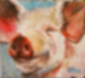 pigface for website_edited_edited