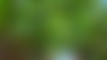 Week 4 - 180km Journey