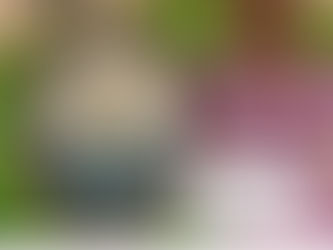 Francisco Caetano Madeira: empreendedor preto de Nova Iguaçu/ RJ