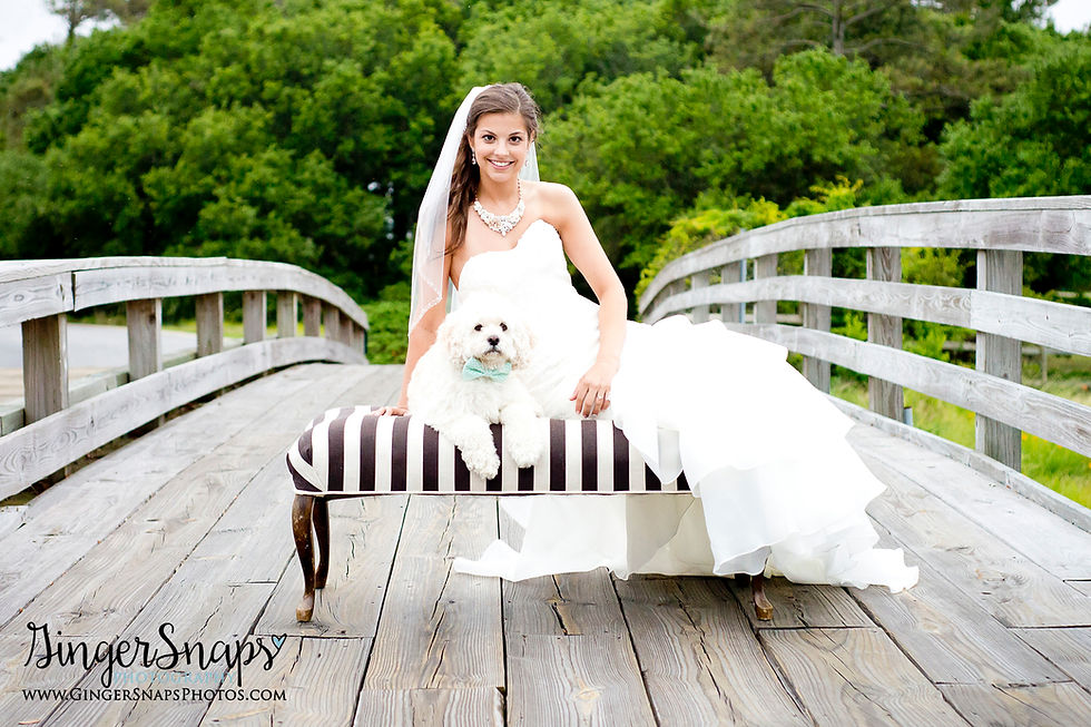 GingerSnaps Photography - 80.jpg