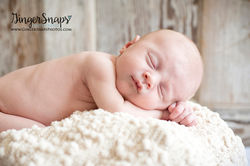 GingerSnaps Photography - 08.jpg