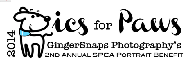 Pics for Paws
