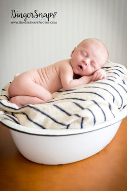 GingerSnaps Photography - 14.jpg