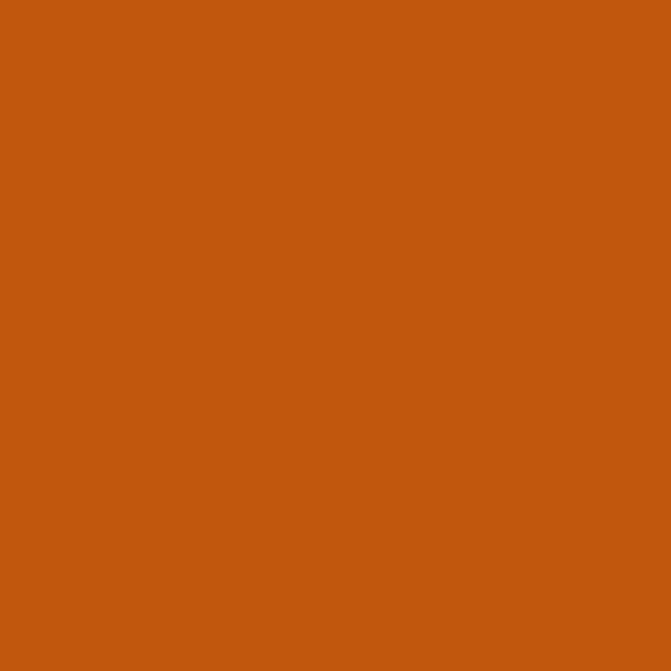 Accessible Orange.png