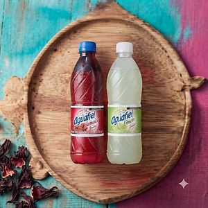 Agua peñafiel (500 ml)