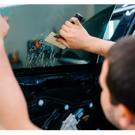 ¿Cómo gestionar la autorización de uso de polarizados?