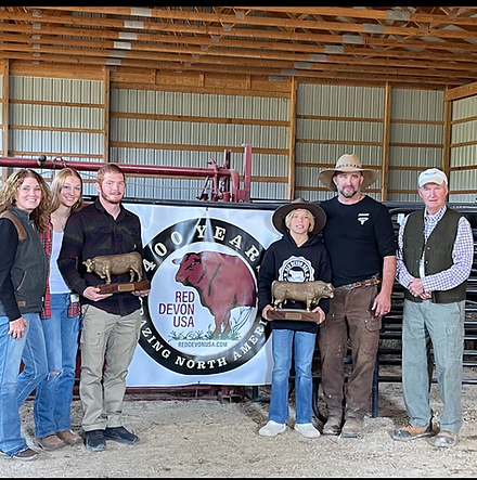 show & sale photo.heic