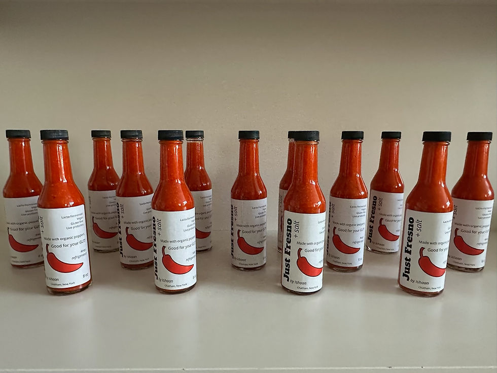 Wide landscape photo of multiple bottles of Just Fresno hot sauce lined up in rows on a neutral background, warm red tones are dominant.