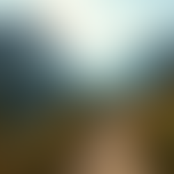 Personalized Tailor-Made Itineraries for the US: Your Guide to Tailored US Travel Plans