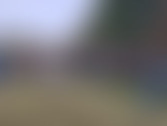 Vrijwilligersdag 2025