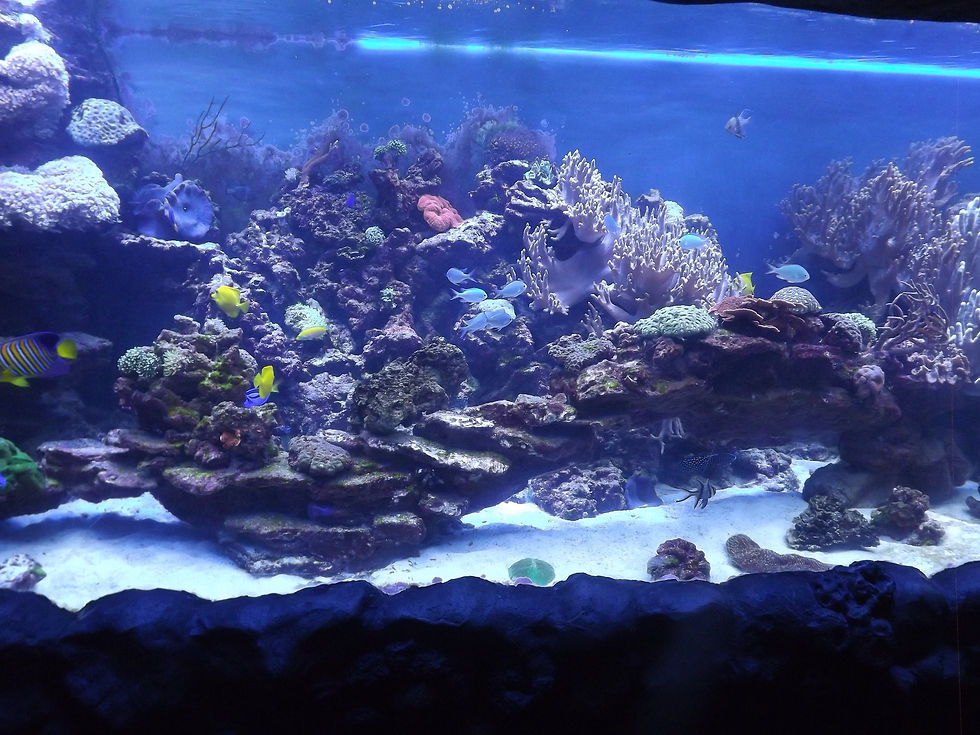 DSCF7172.JPG