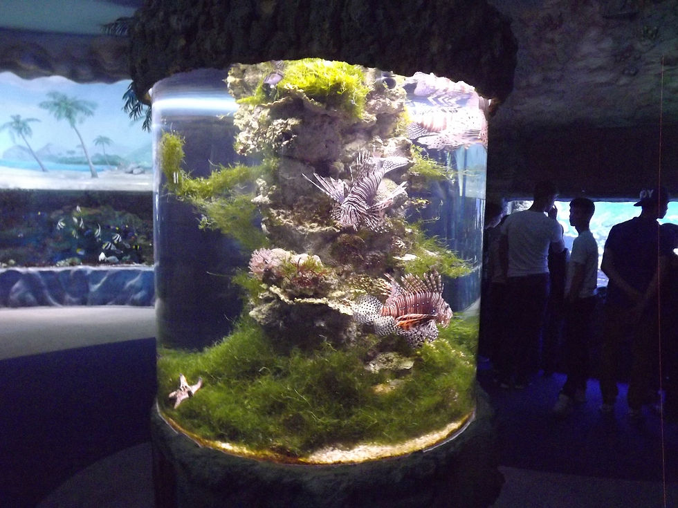 DSCF7173.JPG