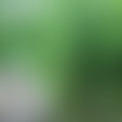 What Holding On Too Tightly Taught Me About Flow 