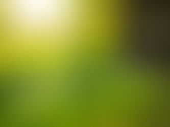 Be Here Now (No, Really) |The Law of Here and Now