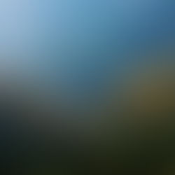 Your Brain Called. It Needs a Nap, Not a New Plan