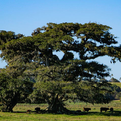 _MG_3272.jpg