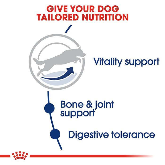 Thumbnail: Royal Canin Maxi Adult 5+ Dog Dry Food, 4 kg