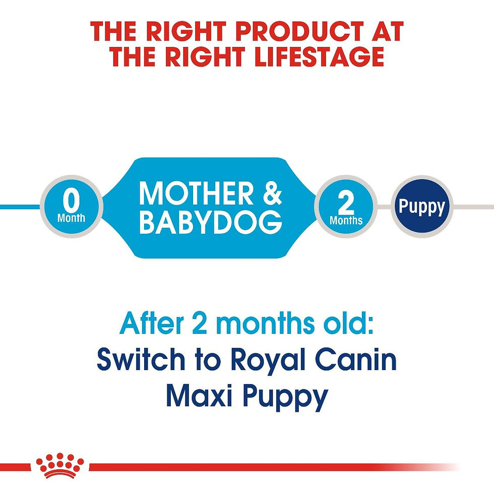 Thumbnail: Royal Canin Maxi Starter Dog Dry Food