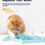 Thumbnail: Petstages Hunt N Snack Mat Cat Slow Feeder