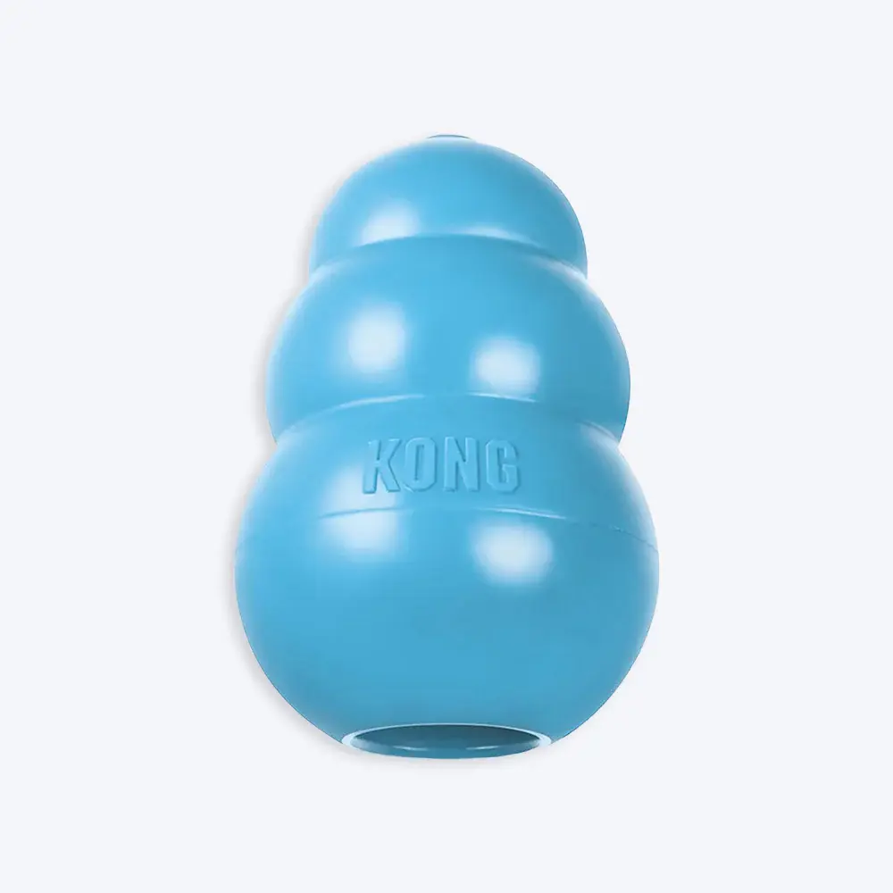KONG Puppy Interactive Chew Toy