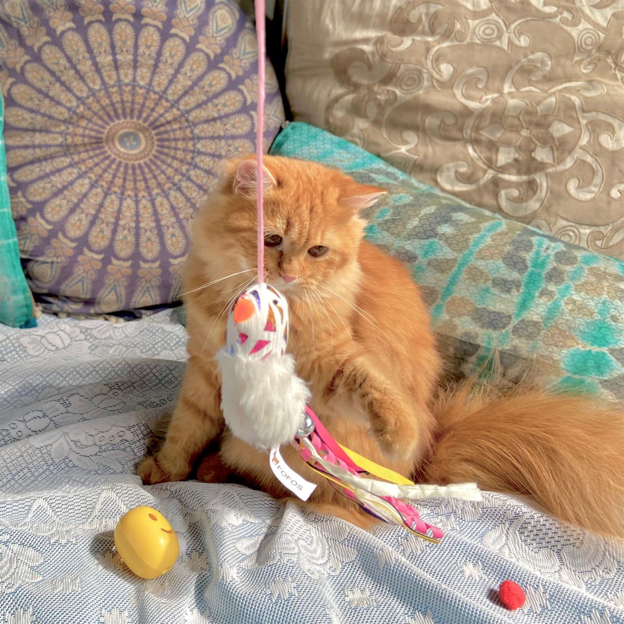 FOFOS Blocky Meow Bird Wand Cat Toy