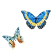 Watercolor Butterfly 6