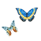 Watercolor Butterfly 6