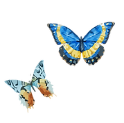 Watercolor Butterfly 6