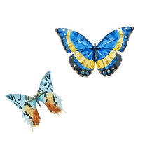 Watercolor Butterfly 6