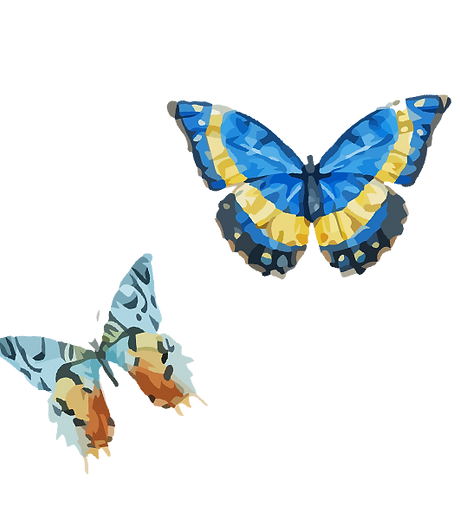 Watercolor Butterfly 6