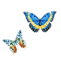 butterflies