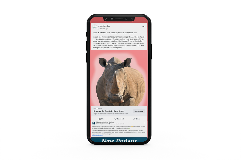 rhino phone mock.png