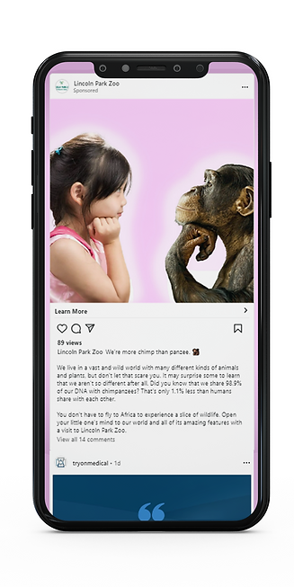 more chimp phone mock.png