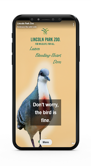 bird is fine phone mock.png