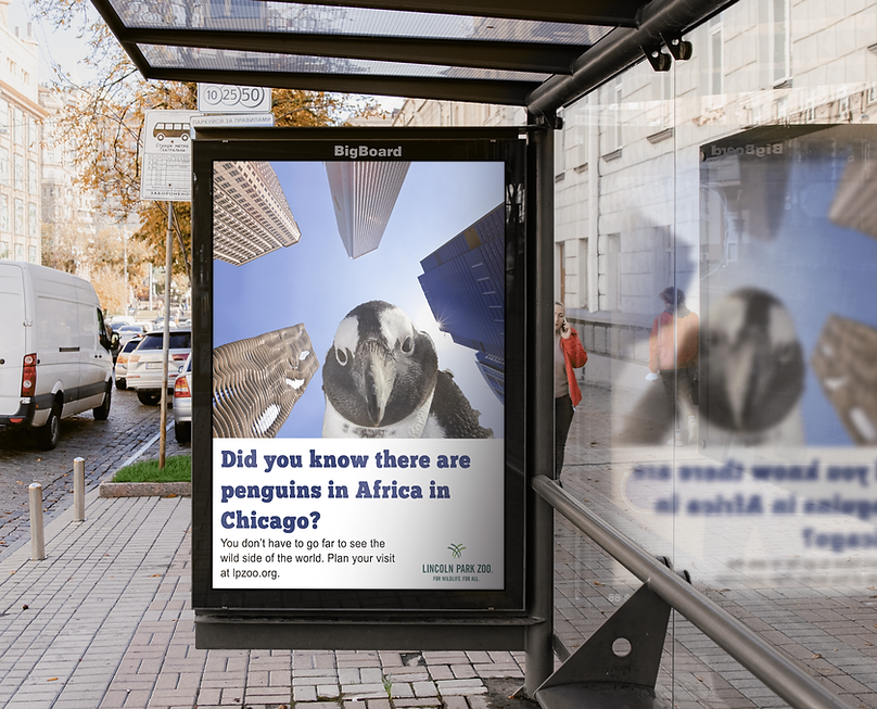 penguins in africa bus stop mock-min.png
