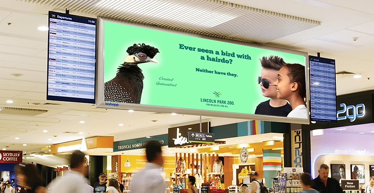 hairdo mockup airport ad.png