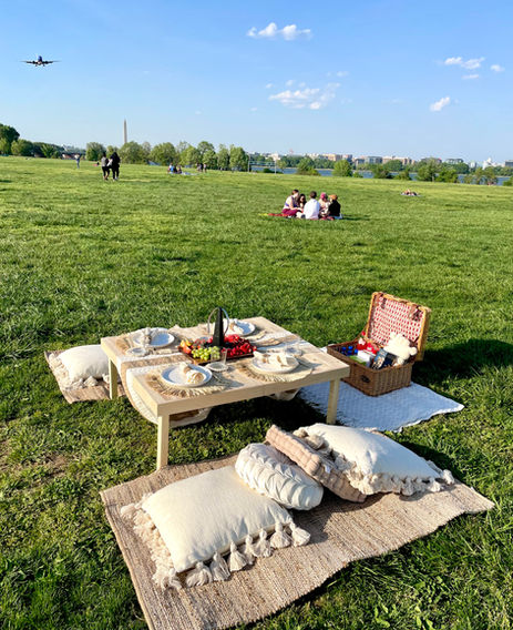 Classic Picnic