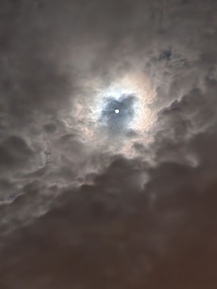 20230403_212937.jpg