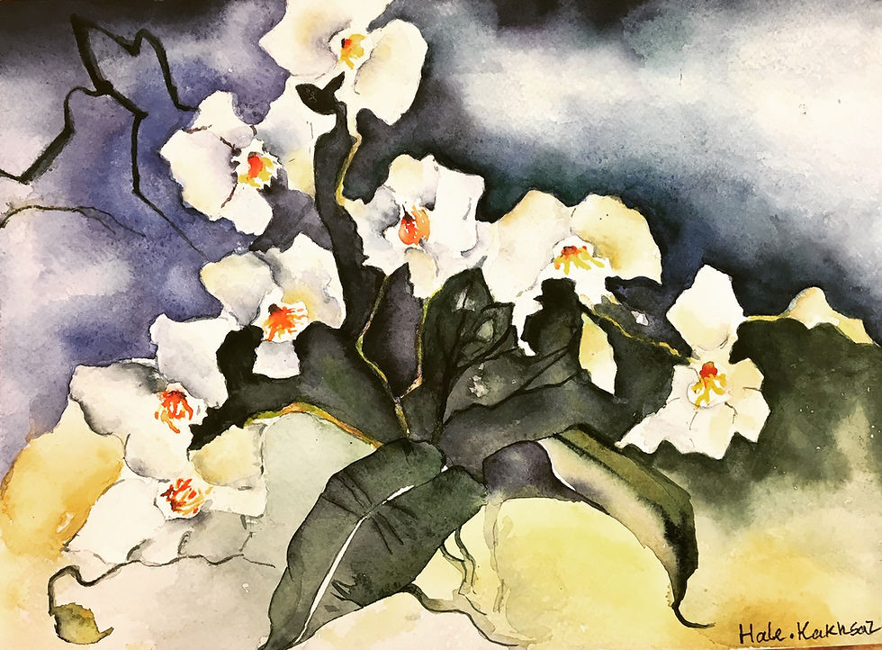 White Orchid