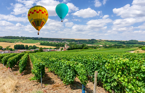 Wine Country_Canva.png