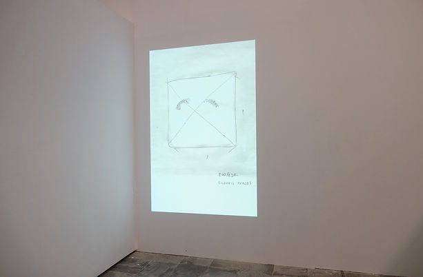對稱的眼睛 A piece of toilet paper to wipping