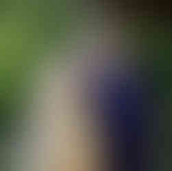 Sleepy Hollow Inn Wedding Vermont