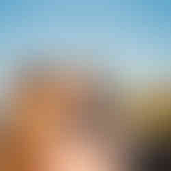 family photos in Burlington VT