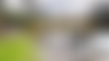 Why Every Carp Lake Owner Should Offer a Virtual Tour
